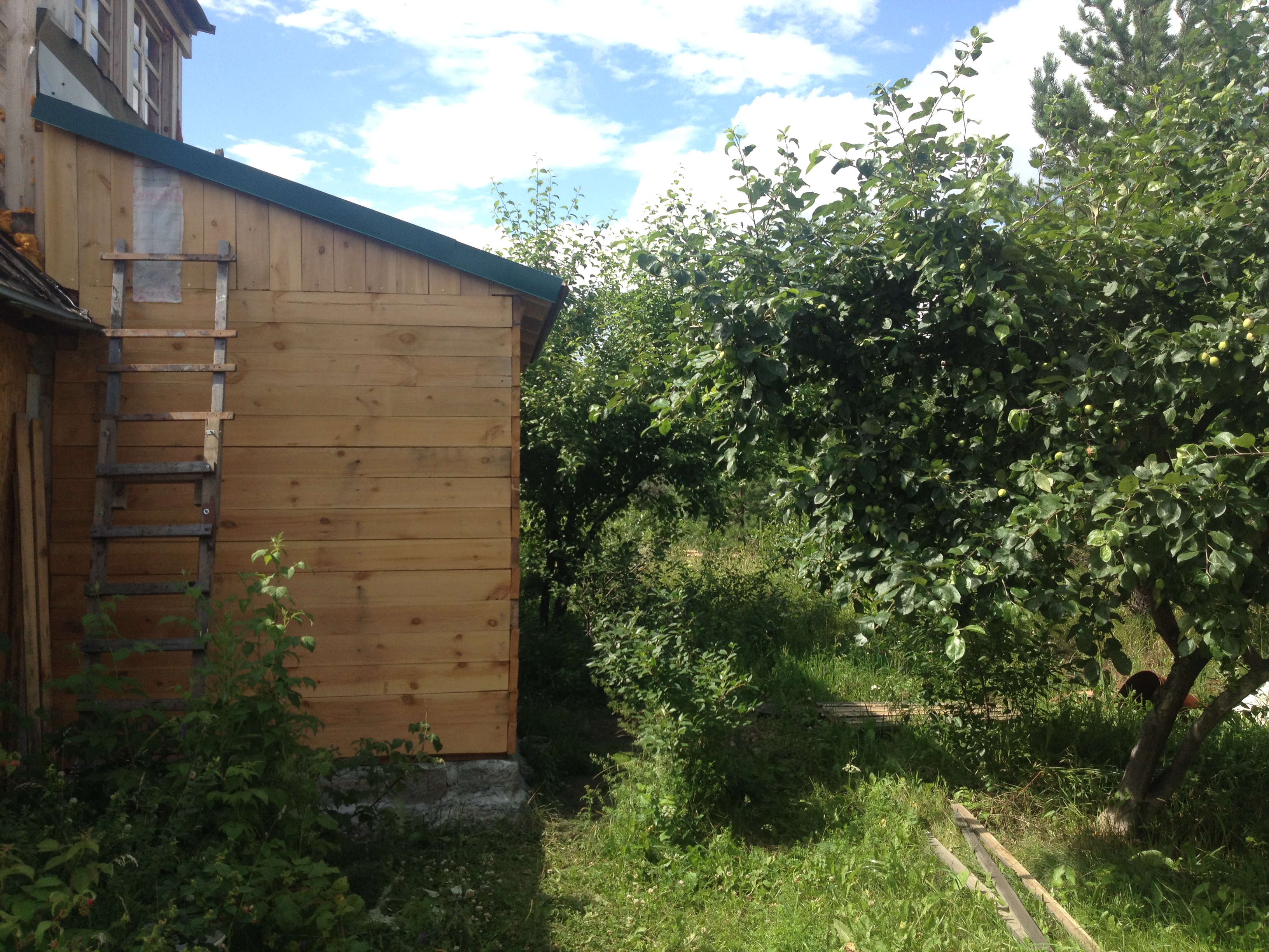 House from the container in the garden